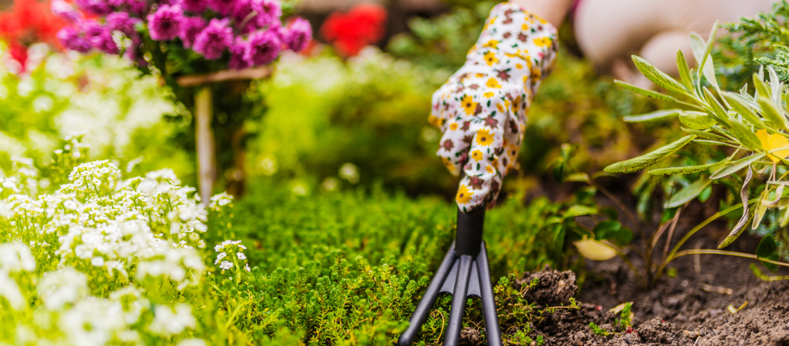 gardening